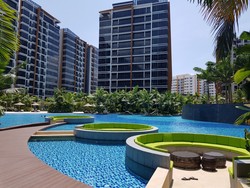 coco-palms photo thumbnail #8